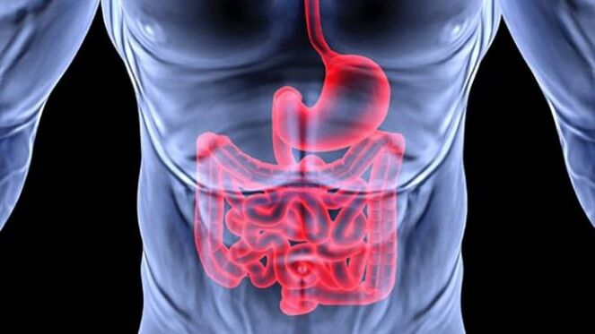 Bolesti gastrointestinalnog trakta