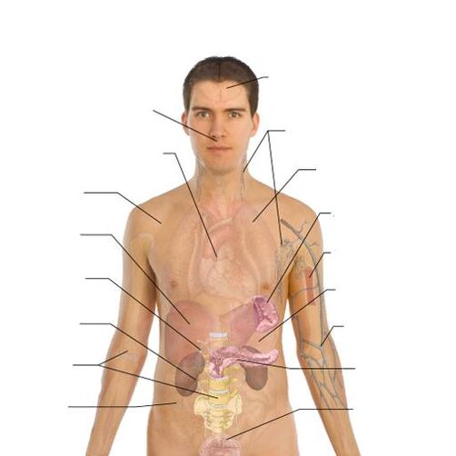 znakovi prisutnosti parazita u različitim organima